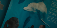 Image147.png