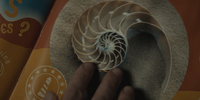 Image149.png