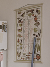 Image43_2.png