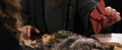 Harry Potter and the Chamber of Secrets.mkv_snapshot_00.34.05_[2024.11.13_18.33.29].jpg