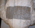 Armstrong A7L Torso:Legs | A11 1.jpg