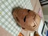 20141015_072548.jpg
