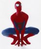 Spidey Crouch.jpg