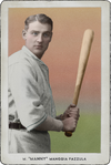 manny baseball card.png