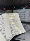 IMG_8204.jpeg