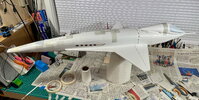 IMG_7132.jpeg