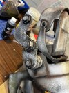 IMG_2087.jpeg