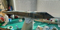 IMG_7158.jpeg