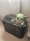 IMG_7619.jpeg