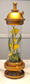 lamp5.png