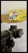IMG_3355.jpeg