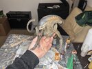 IMG_9037.jpeg