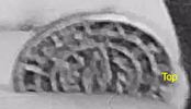 1743004233987.png