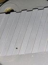 20250325_095217.jpg
