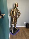 IMG_1352.jpeg