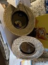IMG_2348.JPG