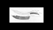 vlcsnap-2025-04-11-01h19m56s860.png