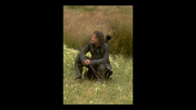 vlcsnap-2025-04-11-01h19m48s428.png