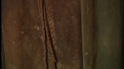 vlcsnap-2025-04-11-01h01m20s140.png