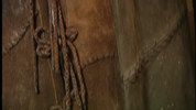 vlcsnap-2025-04-11-01h01m42s512.png