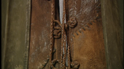 vlcsnap-2025-04-11-01h13m06s810.png