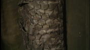 vlcsnap-2025-04-11-01h11m11s499.png