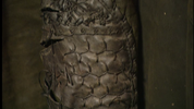 vlcsnap-2025-04-11-01h11m39s571.png