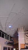 DSC06554.JPG
