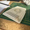 IMG_4174.jpeg
