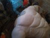 DSC_0666.jpg DSC_0666.jpg