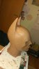 uploadfromtaptalk1414968587536.jpg