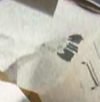 ST2_HawkinsLabFILLER_extrasensory_perception_part01-33_REFERENCE.png
