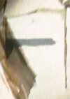 ST2_HawkinsLabFILLER_extrasensory_perception_part01-38_REF.jpg