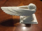 DSCN6528.JPG