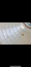 IMG_7812.png