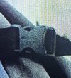 IMG_8384.jpeg