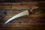 Tooth.jpg