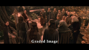 vlcsnap-2025-05-11-22h40m21s675.png vlcsnap-2025-05-11-22h40m21s675.png