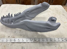 lower jaw.jpg