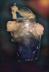 Urn Art 01c.jpg