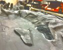 Hip cast inserted next to cutout piece.jpeg