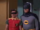 IMG_7979.gif
