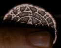 1749058430410.png