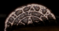 1749059373037.png