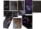 Books collage.png
