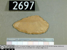 image (2).png