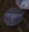 Screenshot 2025-06-20 231230.png