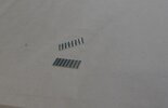 IMG_2428.jpeg