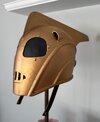WS-helmet.jpeg