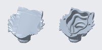 refined_tiger_model.jpg
